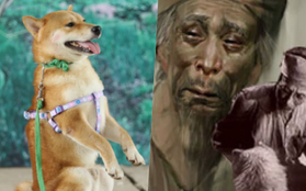 NSX "Cậu Vàng" lên tiếng giữa tâm bão tranh luận về chú chó Nhật: "Chó ta thiên tính tự nhiên cao, không đáp ứng được kĩ thuật!"