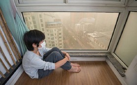 Chưa bao giờ ô nhiễm không khí lại đáng báo động như lúc này, hãy làm ngay những điều sau cho căn nhà để tự bảo vệ mình