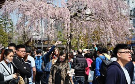 Tokyo là thành phố an toàn nhất thế giới