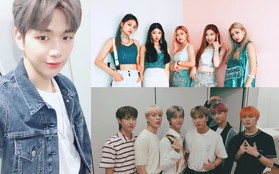 Mặt trận doanh số album Kpop ghi nhận: Kang Daniel soán ngôi Baekhyun mảng solo; NCT DREAM và ITZY lập 2 kỉ lục mới