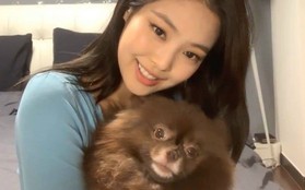 Jennie (BLACKPINK)  khiến khán giả hoang mang khi làm 1 hành động ngầm thừa nhận... ghét YG?