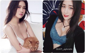 "Xịt máu mũi" với nhan sắc nóng bỏng của "Cô 7" - Nữ streamer Đài Loan đang được fan Việt hóng ngày sang hội ngộ "Thầy Ba"