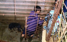 Chiếc hầm bí mật trong đường dây trộm hơn 100 tấn chó ở Thanh Hóa