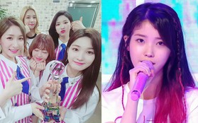 Bán được vỏn vẹn... 45 album ngày đầu, girlgroup đánh bại IU 2 năm trước nhận đủ lời mỉa mai khi gián tiếp thừa nhận gian lận