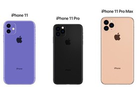 Năm nay có iPhone 11 và iPhone 11 Pro, vậy iPhone XR năm ngoái sẽ "khăn gói" mất hút về đâu?