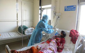 40 người tử vong vì cúm lợn tại miền Tây Ấn Độ