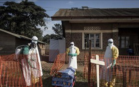 Dịch Ebola bùng phát, 502 người thiệt mạng tại Congo