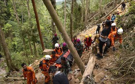 Nhiều khả năng gần 100 người vẫn bị mắc kẹt trong vụ sập hầm mỏ ở Indonesia