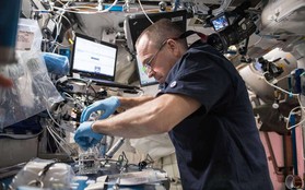 Vi khuẩn và nấm tấn công trạm ISS, đe dọa phi hành gia