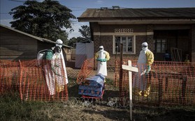 Trên 750 người đã tử vong vì dịch Ebola tại CHDC Congo