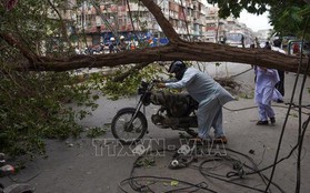 Khoảng 300 người thương vong do mưa lớn, lũ quét ở Ấn Độ, Pakistan