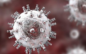 2 virus bệnh tình dục "giao phối", đe dọa sinh ra siêu bệnh mới