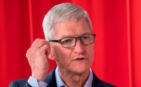 CEO Tim Cook: “Tôi không nghĩ bằng đại học 4 năm là đủ để viết code giỏi”