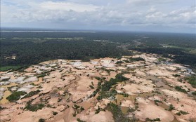 Brazil mất 953.000 ha rừng Amazon trong vòng 30 năm