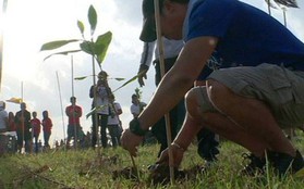 Philippines: Học sinh, sinh viên phải trồng 10 cây xanh mới được tốt nghiệp