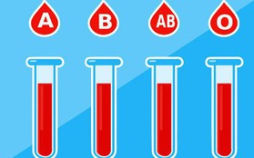 Vi khuẩn trong ruột người có thể biến máu nhóm A thành nhóm O: Tại sao đây là một đột phá quan trọng?