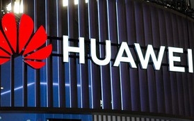 Huawei sẽ được Tổng thống Trump cho phép hợp tác lại với Mỹ trong thời gian sắp tới?