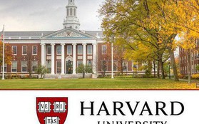 “Vỡ mộng” Harvard: Bệnh thành tích, nạn “cha truyền con nối”, phân biệt giới tính, sinh viên không hẹn hò vì thiếu kỹ năng