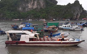 Tàu cá đâm tung nóc tàu cao tốc ở Quảng Ninh, 46 hành khách la hét hoảng loạn