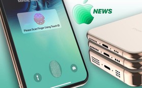 Năm sau đừng mua iPhone, đợi 2021 smartphone Táo sẽ có cả Face ID và Touch ID dưới màn hình