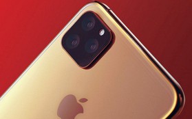 Đến Apple cũng thấp thỏm lo âu về doanh số iPhone 2019 do máy không có nhiều điểm đột phá