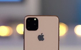 Liệu có phải Tim Cook và Apple "chơi ngông" khi nói không với 5G trên iPhone 2019?