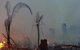 Quân đội Brazil triển khai các nguồn lực đối phó với cháy rừng Amazon