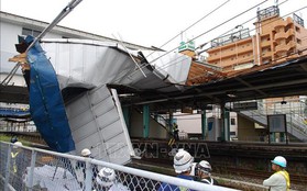 Bão Faxai quét qua Tokyo, ít nhất 43 người thương vong