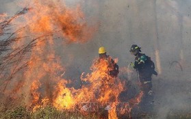 Cháy rừng vẫn tiếp tục lan rộng tại Bolivia
