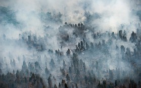Cháy rừng Indonesia khiến các nước láng giềng 'nghẹt thở'