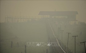 Hơn 900.000 người Indonesia bị bệnh về đường hô hấp do cháy rừng