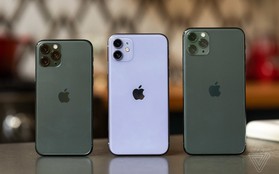 Lộ thông tin iPhone tương lai sẽ có logo Táo phát sáng sau lưng để làm đèn thông báo?