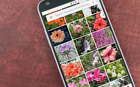 Cuộc vui chóng tàn: Người dùng iPhone sắp không được lưu ảnh gốc miễn phí lên Google Photos nữa