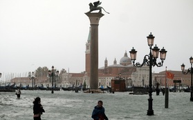 Venice huyền thoại có thể 'chìm' trong nước lũ