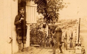 Chú khỉ đầu chó kì lạ trở thành nhân viên đường sắt, làm suốt 9 năm chưa từng mắc một sai lầm