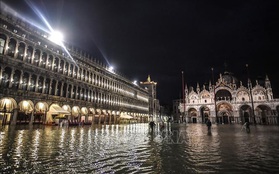 Thảm họa thủy triều 'nhấn chìm' Venice trong 'biển nước'