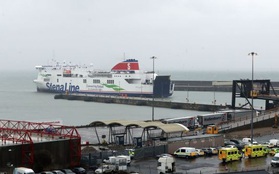Phát hiện 16 người nhập cư trong container đóng kín trên chuyến phà tới Ireland