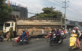 Xe tải chở 50 con heo tông vào nhà dân, giao thông kẹt cứng 2km