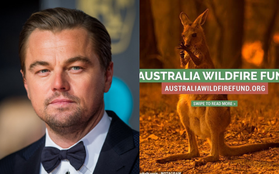 "Thor" Chris Hemsworth đã khủng, tài tử “Titanic” Leonardo còn khủng hơn: Lập quỹ cứu trợ đại thảm hoạ cháy rừng Úc với số tiền không tưởng