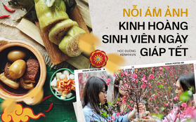 Đến hẹn lại lên, Tết nhất năm nào cũng mang đến những nỗi ám ám ảnh kinh hoàng mà chỉ có sinh viên mới hiểu!