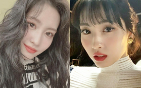 Momo (TWICE) lần đầu chào fan trên MXH sau khi hẹn hò Heechul hơn 13 tuổi, có gì mà gây xôn xao?