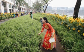 Phố nhà giàu Phú Mỹ Hưng đón Tết Canh Tý với đường hoa xuân đầy lúa và bắp ngô, tái hiện khung cảnh làng quê bình dị