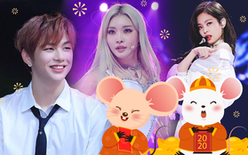 Idol Kpop tuổi Tý đúng chuẩn tài sắc vẹn toàn: Từ hội cỗ máy nhảy đình đám cho đến dàn visual xinh hơn hoa, có 2 idol đa-zi-năng khiến fan mê mệt