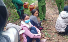 Nghệ An: Bàng hoàng phát hiện hai thanh niên tử vong bất thường trong bìa rừng sáng mồng 5 Tết