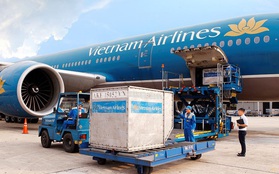 Nữ tiếp viên trưởng bị kiểm tra vì nghi buôn lậu, Vietnam Airlines nói gì?