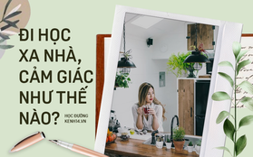 Đi học xa nhà cũng khổ lắm, tủi thân lắm chứ chẳng sung sướng gì đâu, chỉ mong nhanh nhanh về quê ăn Tết với bố mẹ