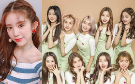 Thành viên MOMOLAND tự "bóc phốt" đội hình của nhóm có gian lận: Người chỉ trích "ăn cháo đá bát", người ủng hộ đi tìm sự thật