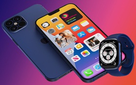 Soi biến động giá bán iPhone cũ tại Việt Nam trước và sau khi iPhone 12 ra mắt