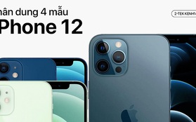 Tất tần tật về 4 mẫu iPhone 12 vừa ra mắt - Điều tuyệt nhất là giá mềm hơn hẳn so với năm ngoái