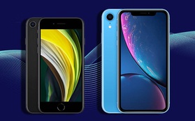 Dù có giá đắt hơn iPhone 11, iPhone 12 vẫn gián tiếp giúp Apple tung cú đấm mạnh nhất vào lãnh địa Android